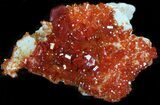 Red Vanadinite Crystal Cluster - Morocco #38523-1